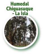 Humedal Chiguasuque - La Isla 